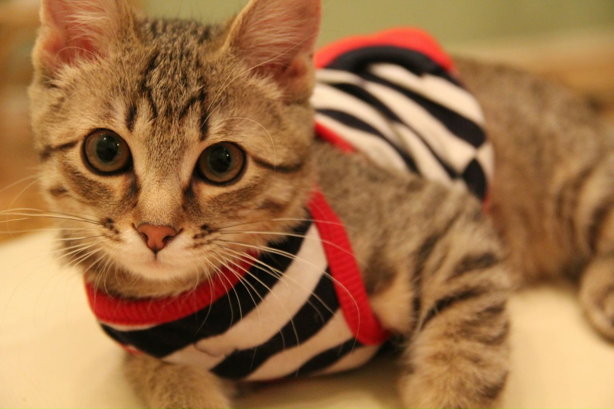 Галина Сандухадзе | Санкт-Петербург