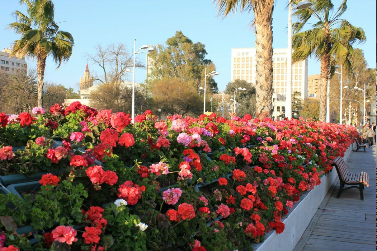 Эмма Нестеренко | Екатеринбург