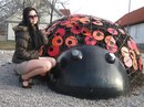 №36 Элина Леонова 04.04.1994: профиль, фото, статус - ВКонтакте