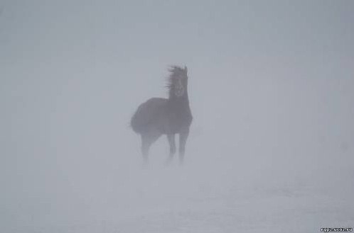 Julia Beloklokova | Киев