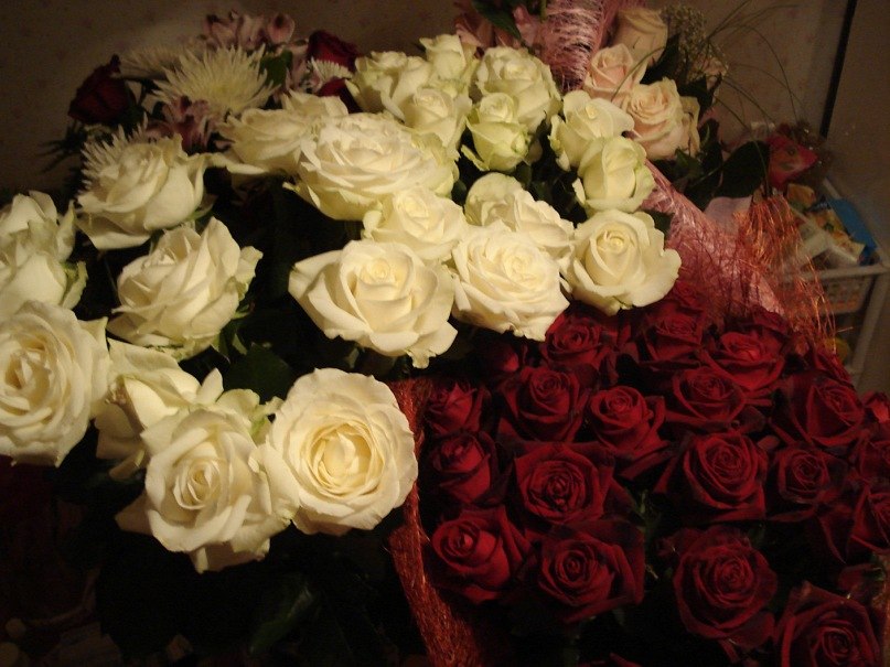 Ольга Ковеня | Чехов