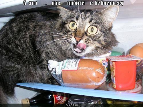 №1, Андрей Кучер, 30 лет, Киев №1, Андрей Кучер, 30 лет, Киев