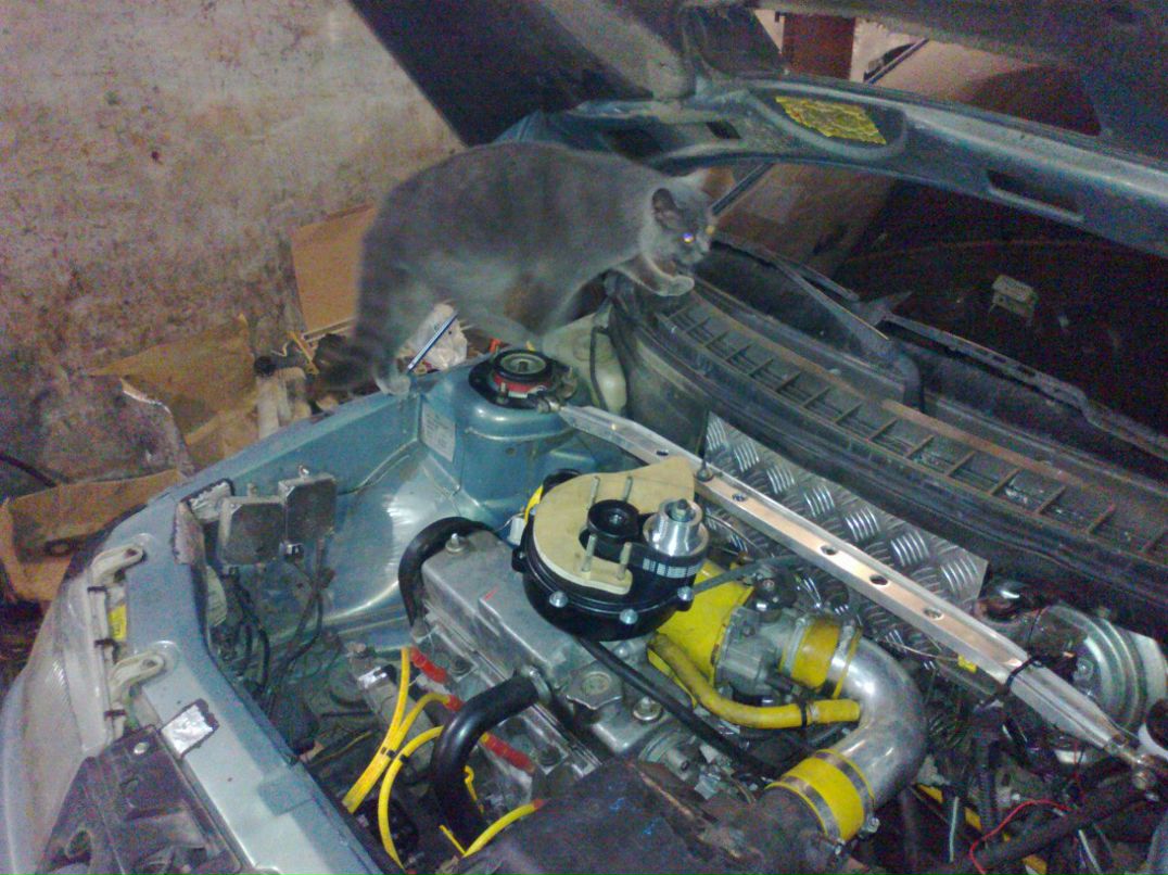 Андрей Шакиров | Челябинск