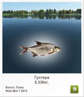 Артем Ощепков | 