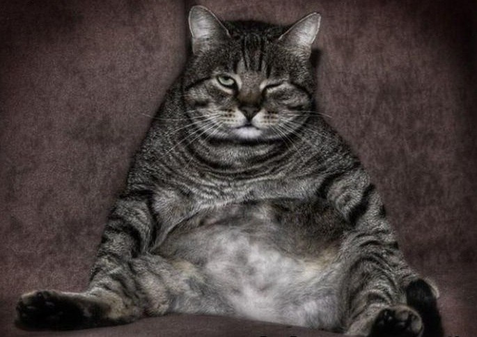 Вячеслав Шахов Segun | Москва