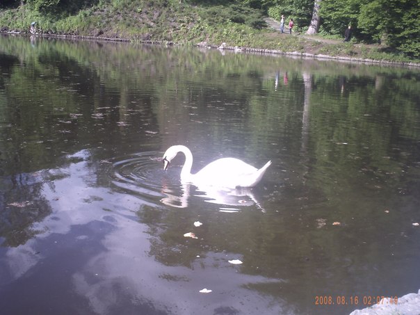 №54, Ирина Барыбина, Белая Церковь №54, Ирина Барыбина, Белая Церковь