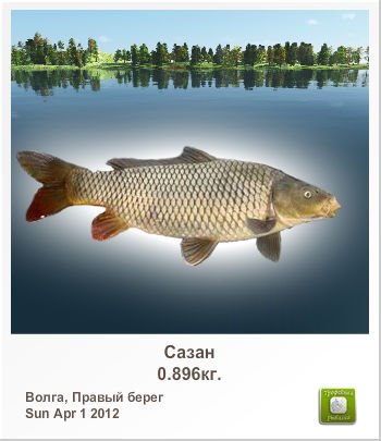 Николай Китанов | Казань