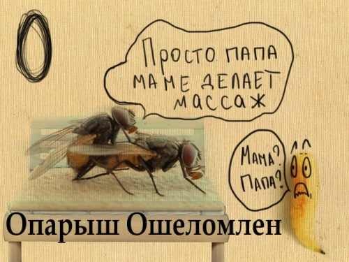 Кирилл Волков wolchenzo | Нижний Тагил