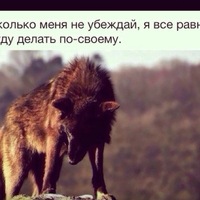 Миша Мудак