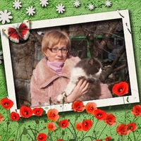 Елена Мартыненко