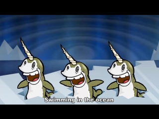 narwhals song
