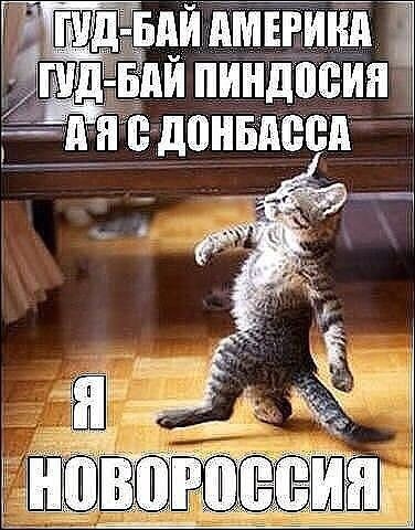 Мем кот с днем рождения