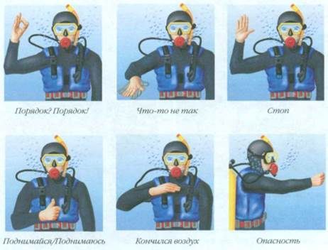 �������, ���� ����� ������������� �������� ���������