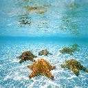 №11, Надежда Баширова №11, Надежда Баширова