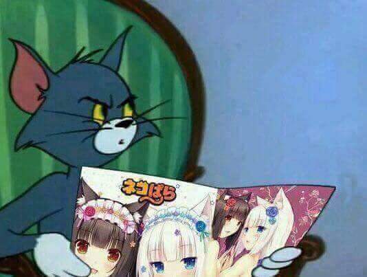 w2Bbm_a_7w0.jpg