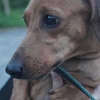 Анастасия Кочеткова | Иваново