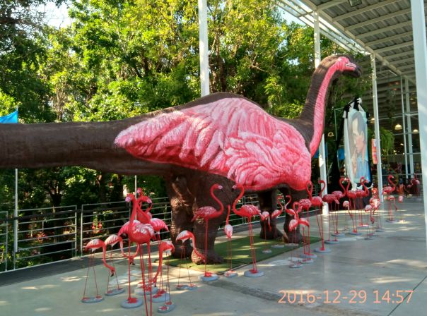 Елена Блесморк, Россия, Новосибирск