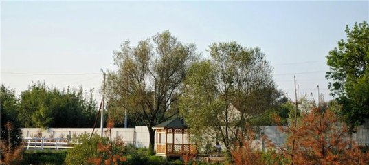 jAfOTiai32A кск битца телефон прокат