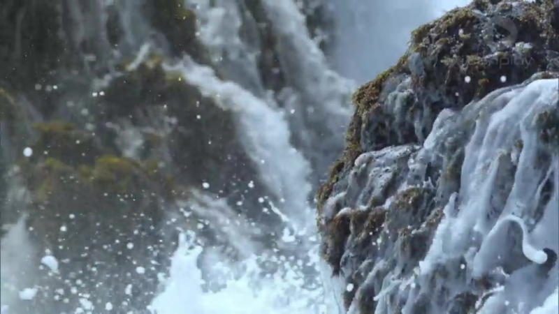 Australian Survivor - S1 Ep. 9