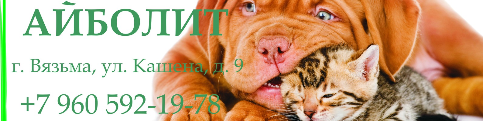 Сообщество «АЙБОЛИТ, г. Вязьма, ветеринарная клиника, аптека» ВКонтакте ...