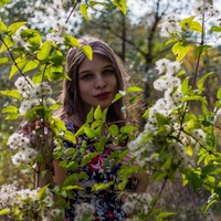 Дарья Лесникова | 