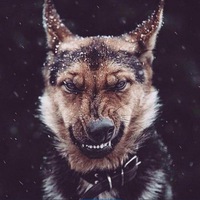 Александр Бутаков | Петропавловск