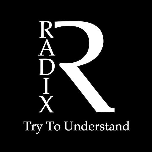 Radix альбом Try to Understand