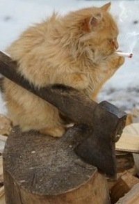 Николай Шеремеев
