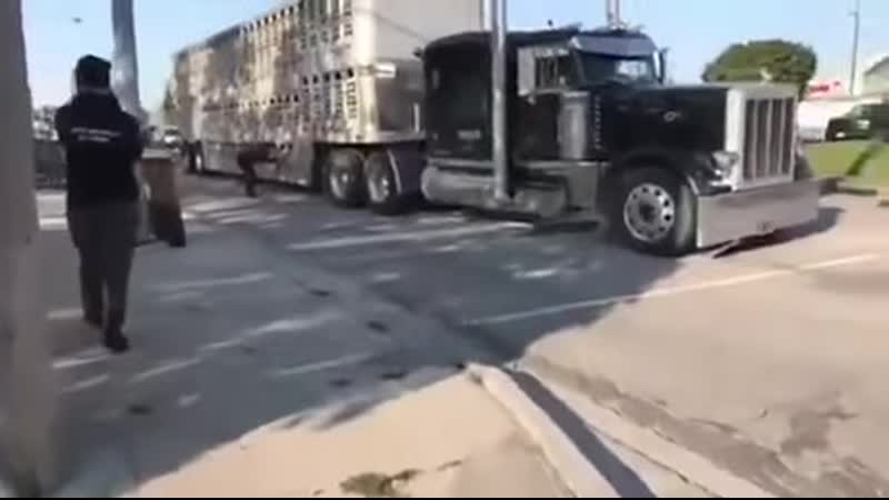 Vegans stops a Truck