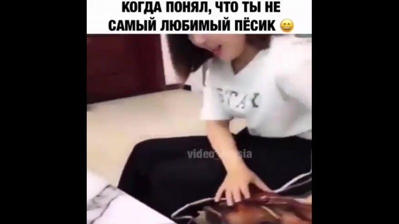 1539370191_samyy-lyubimyy-pesik.mp4