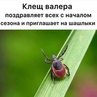 Максим Терещенко