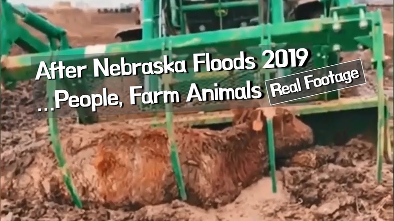 Real Footage, After Nebraska Floods 2019. .. people, farm