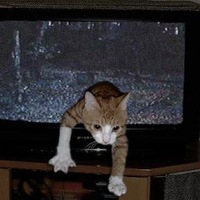 Давид Алмазов