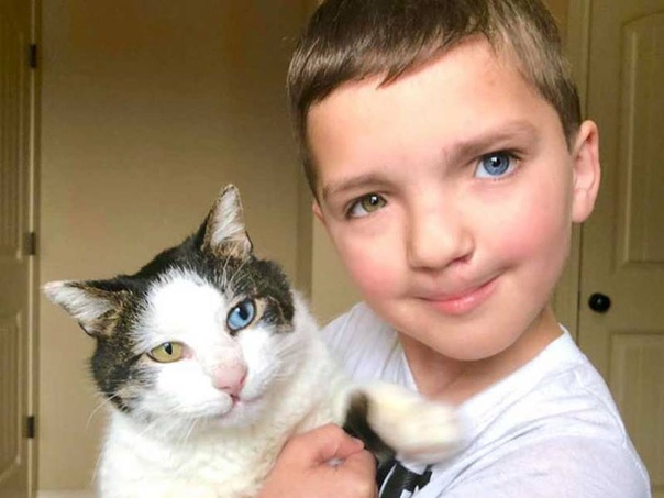 Мальчика с разными глазами и заячьей губой, которого унижали в школе, спасла кошка. В американском штате Оклахома живут необычные друзья мальчик и кот. У них одинаковые атавизмы внешности заячья