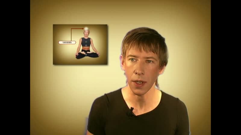 Black Lotus 01 How to Use this