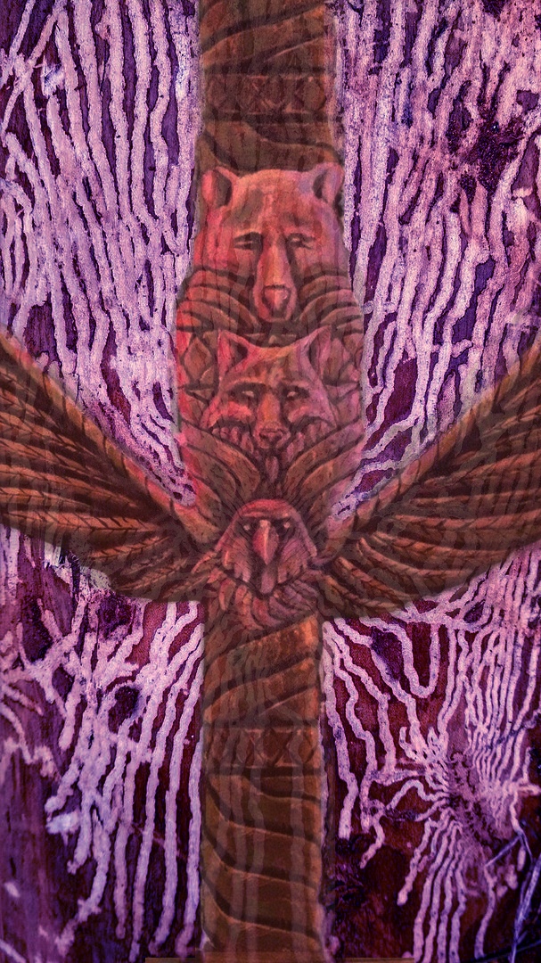 Афиша Красноярск Fractal Geometry - E mc 2 Shamanism 25.10.2019