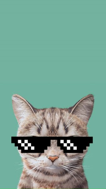 Валерия Титова, Россия, Белгород