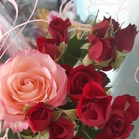 Ольга Бойченко | 