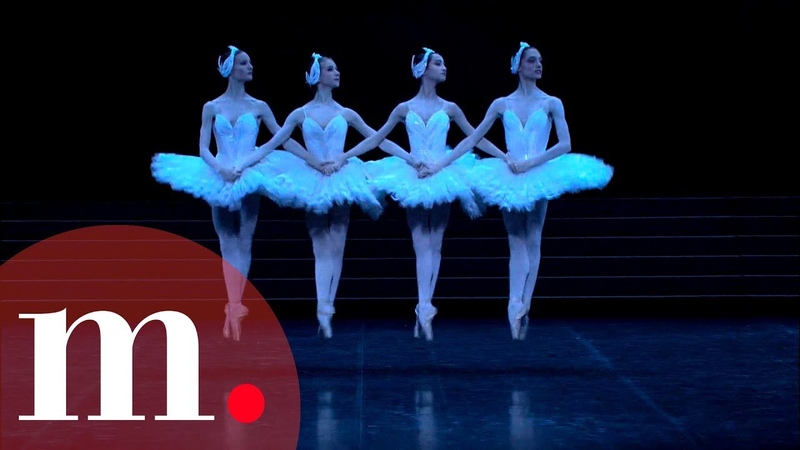 Swan Lake, Tchaikovsky Dance of the Little