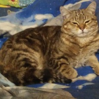 Любовь Николенко |