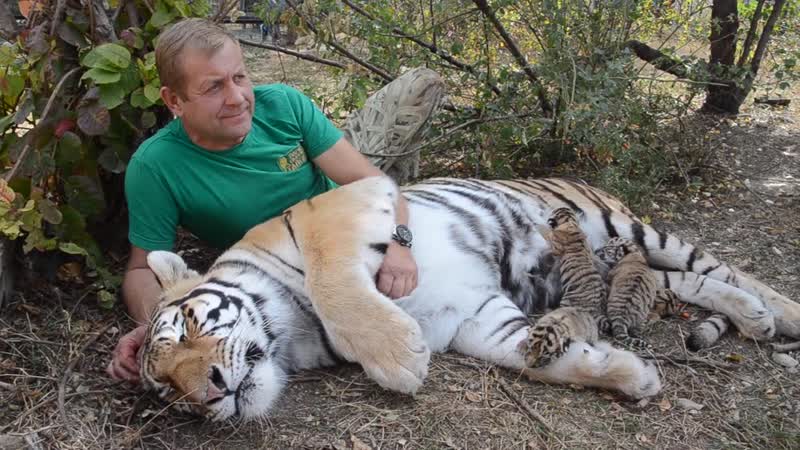 Татьяна Алексагина: В обнимку с тигрицей и