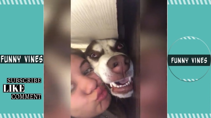 Try Not To Laugh Funny vines 2019 Clean Videos Compilation