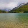 Аватар: Екатерина Курсанова