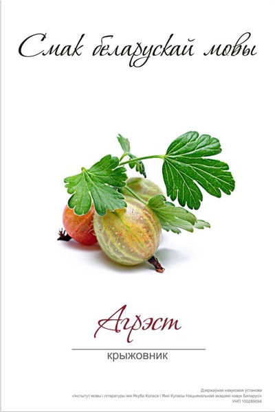 №26, Макс Русаковіч, 35 лет №26, Макс Русаковіч, 35 лет