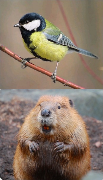 №84, Валентин Кульчицкий, Киев №84, Валентин Кульчицкий, Киев