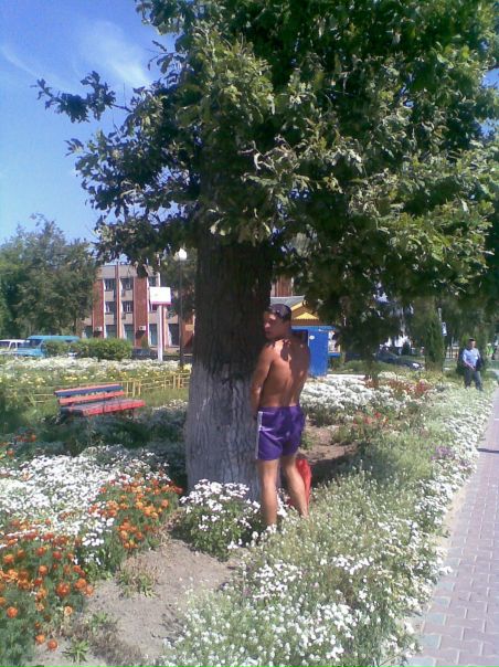 №9, Хитрый Кот №9, Хитрый Кот