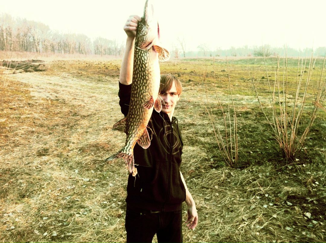 Александр Чаюн California | Киев