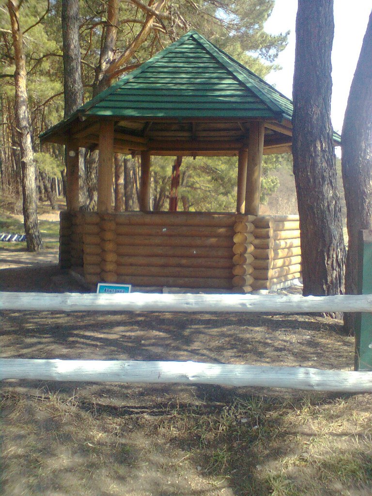 Наталья Корецкая | Полтава