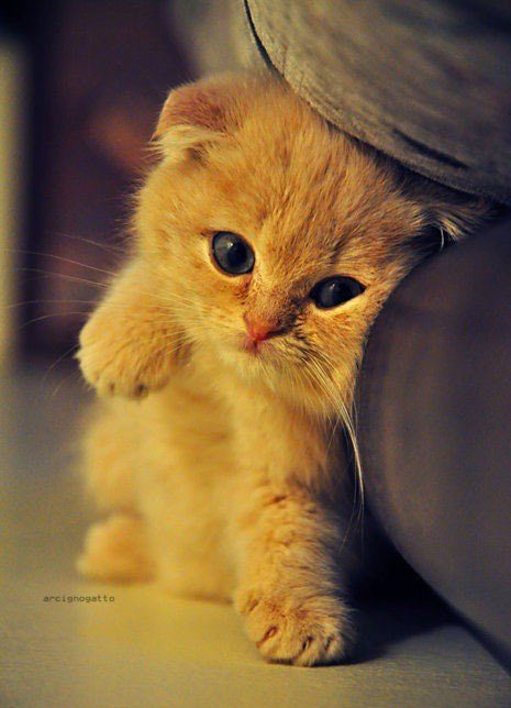 Юлия Дударева | Волгодонск