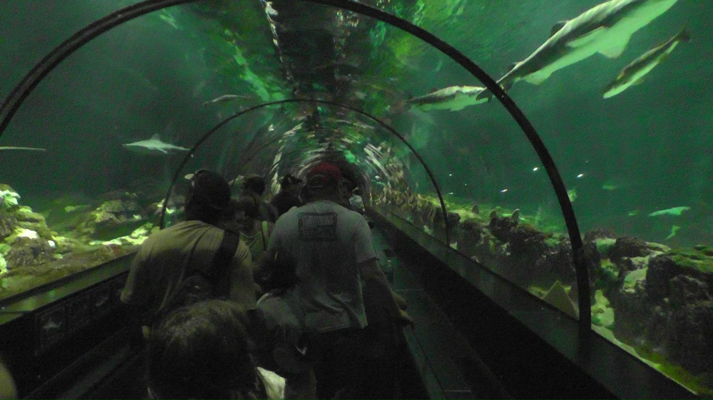 Наталья Бороздина | Москва